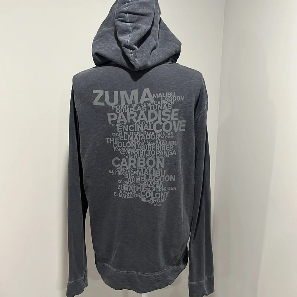 James Perse Malibu Graphic Hoodie in Gray 2